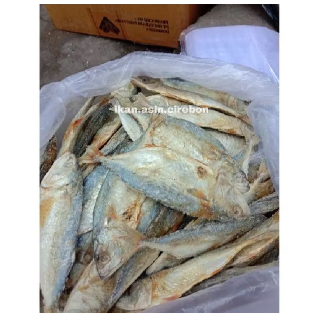 

Ikan Asin Peda Kembung Cirebon 1kg 500g 250g Promo Murah