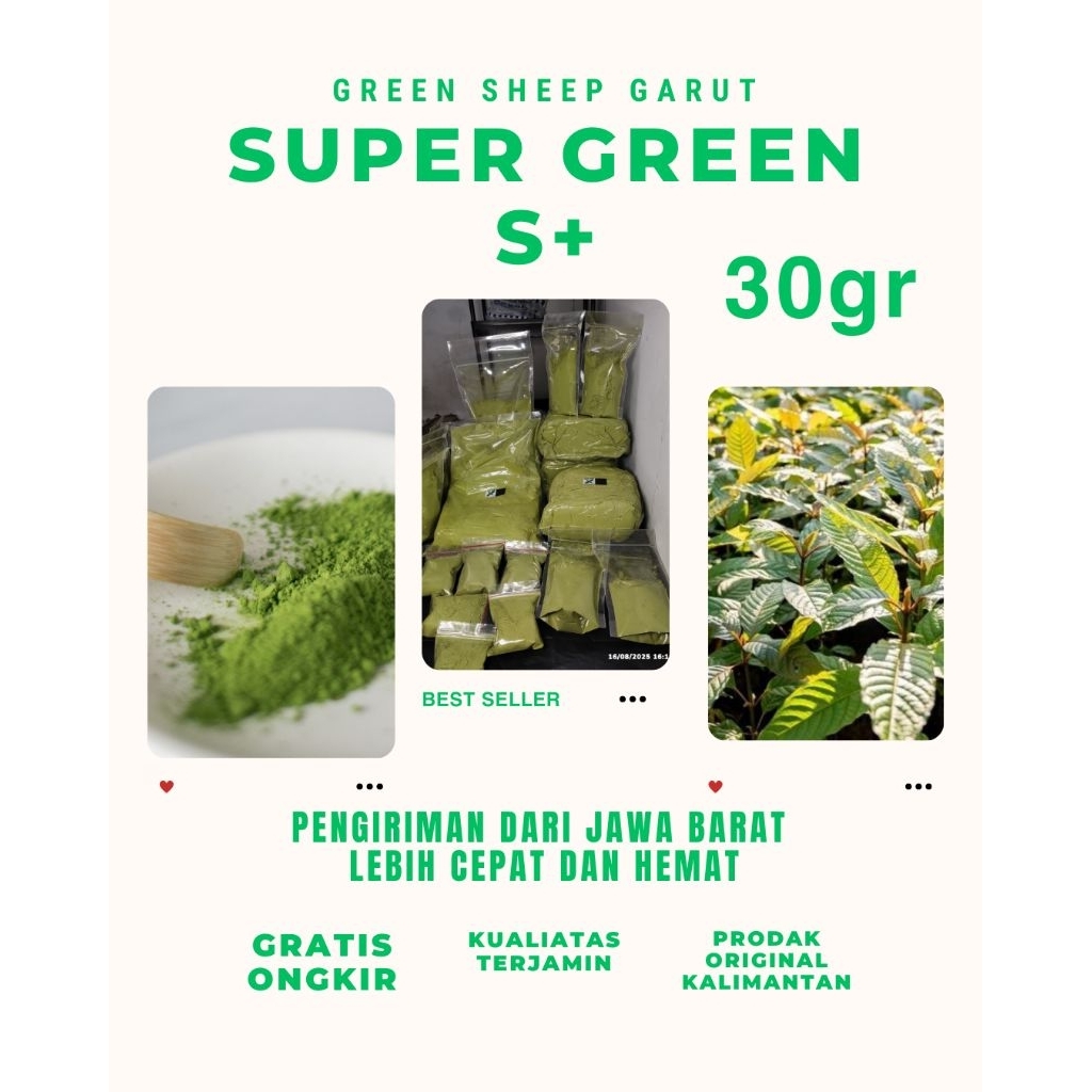 

teh hijau kalimantan