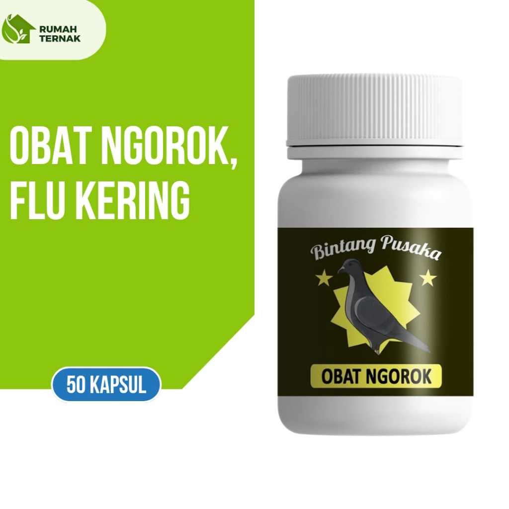 Obat Ngorok Gangguan Pernafasan Merpati - Rumah ternak