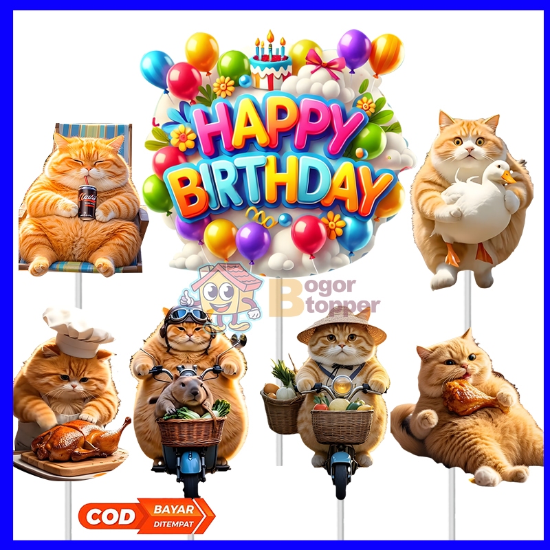 

Kucing Topper Karakter Kue Ulang Tahun - Hiasan Karakter Kue Ulang Tahun Happy Birthday Barakallah Fii Umrik