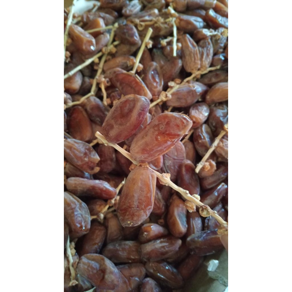 

Tunis tangkai Saphire / Tunisia Tangkai /Kemasan Thinwall