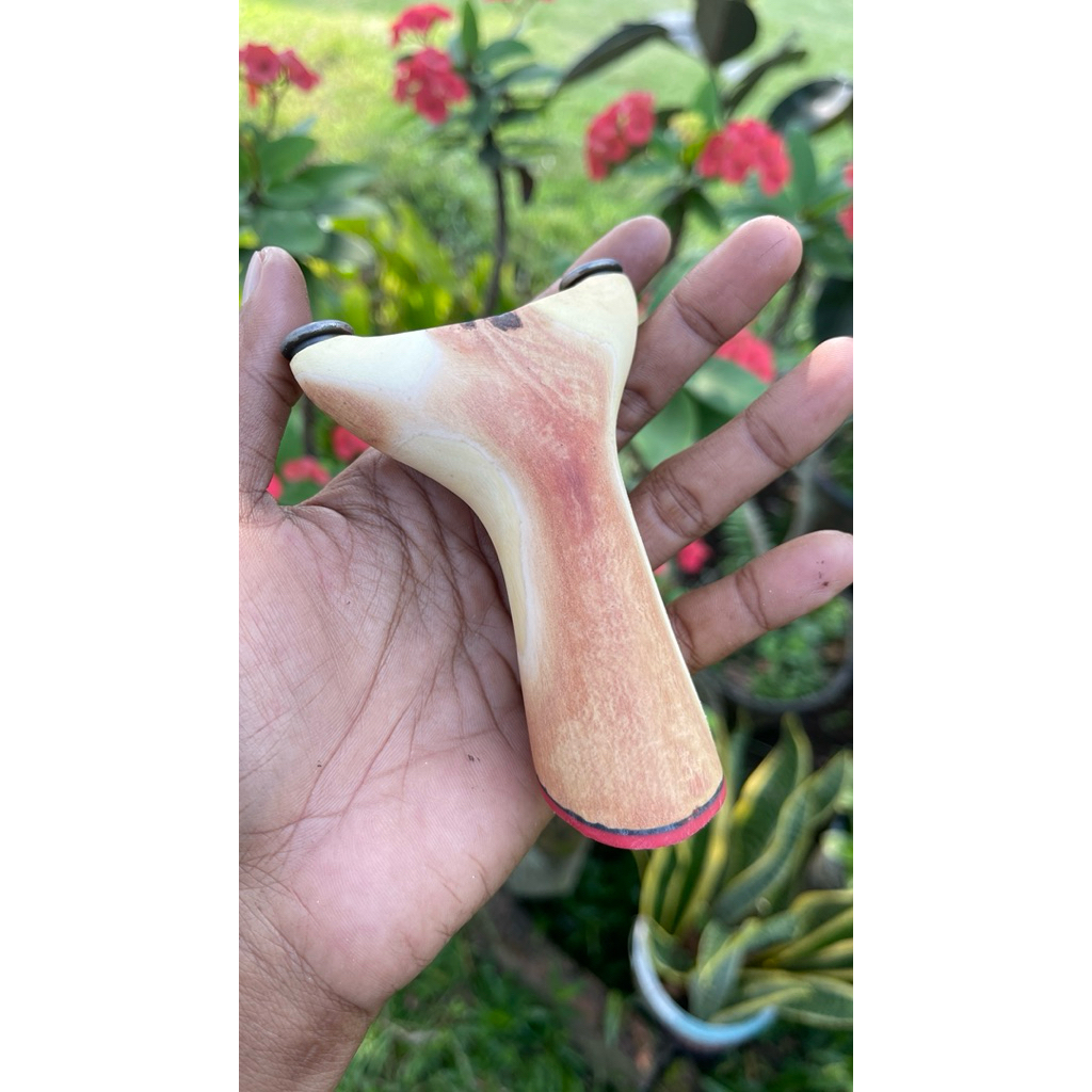 ketapel cabang kayu asem