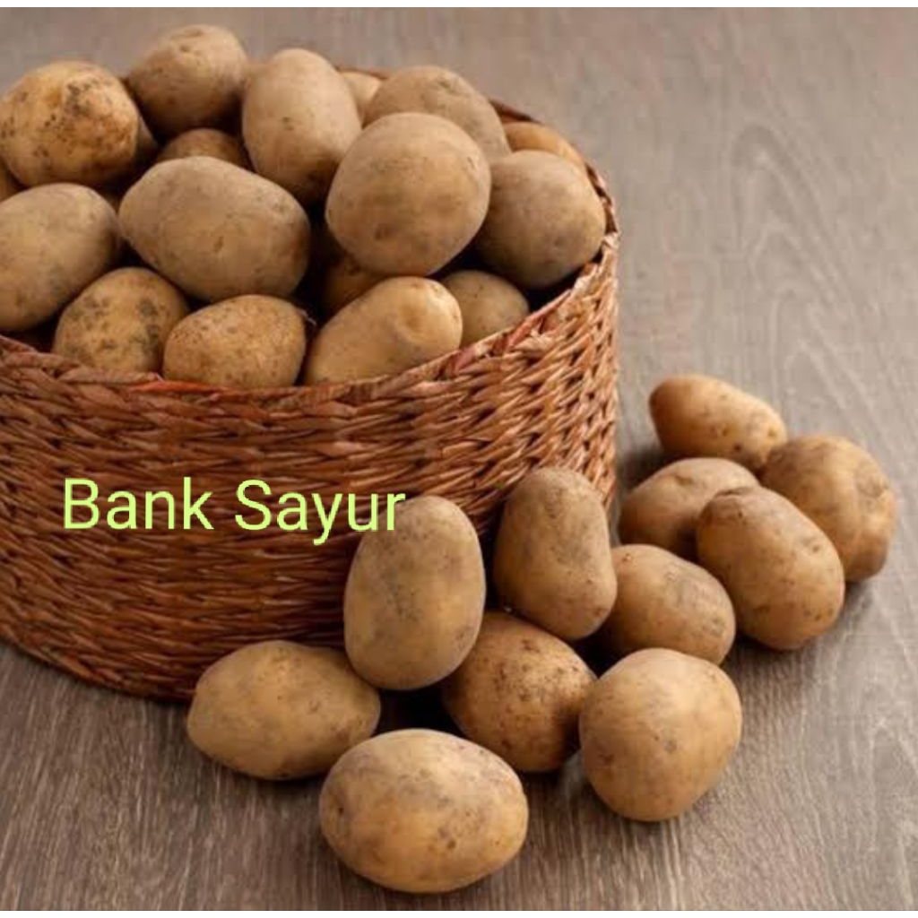 

Kentang Dieng Sedang Fresh