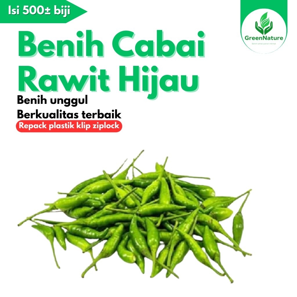 500± BIJI BENIH CABAI RAWIT HIJAU