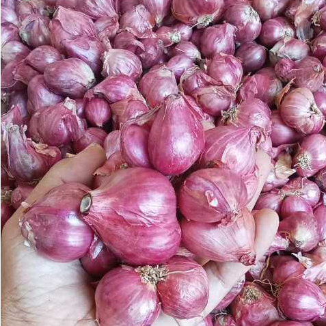 

Bawang Merah Sedang dan Besar 1000Gram
