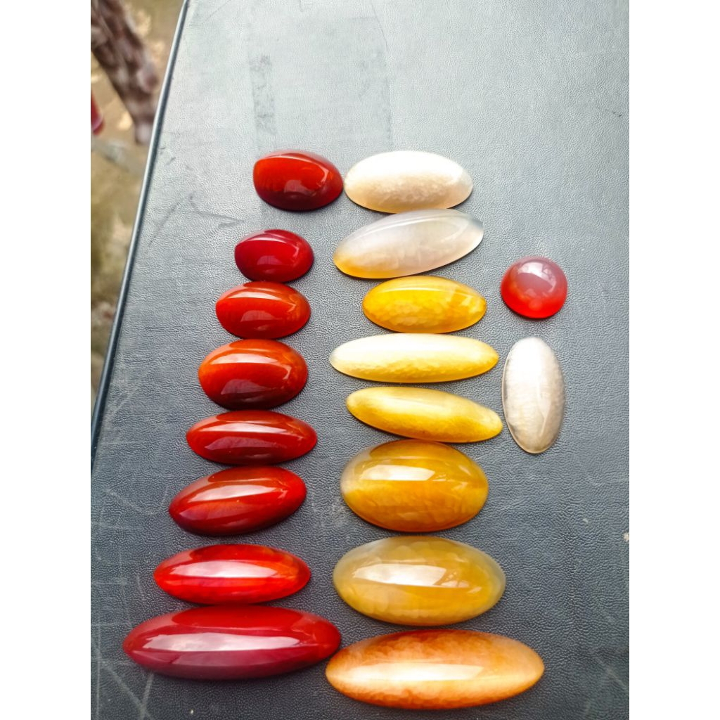 pandan merah dan pandan nasmut