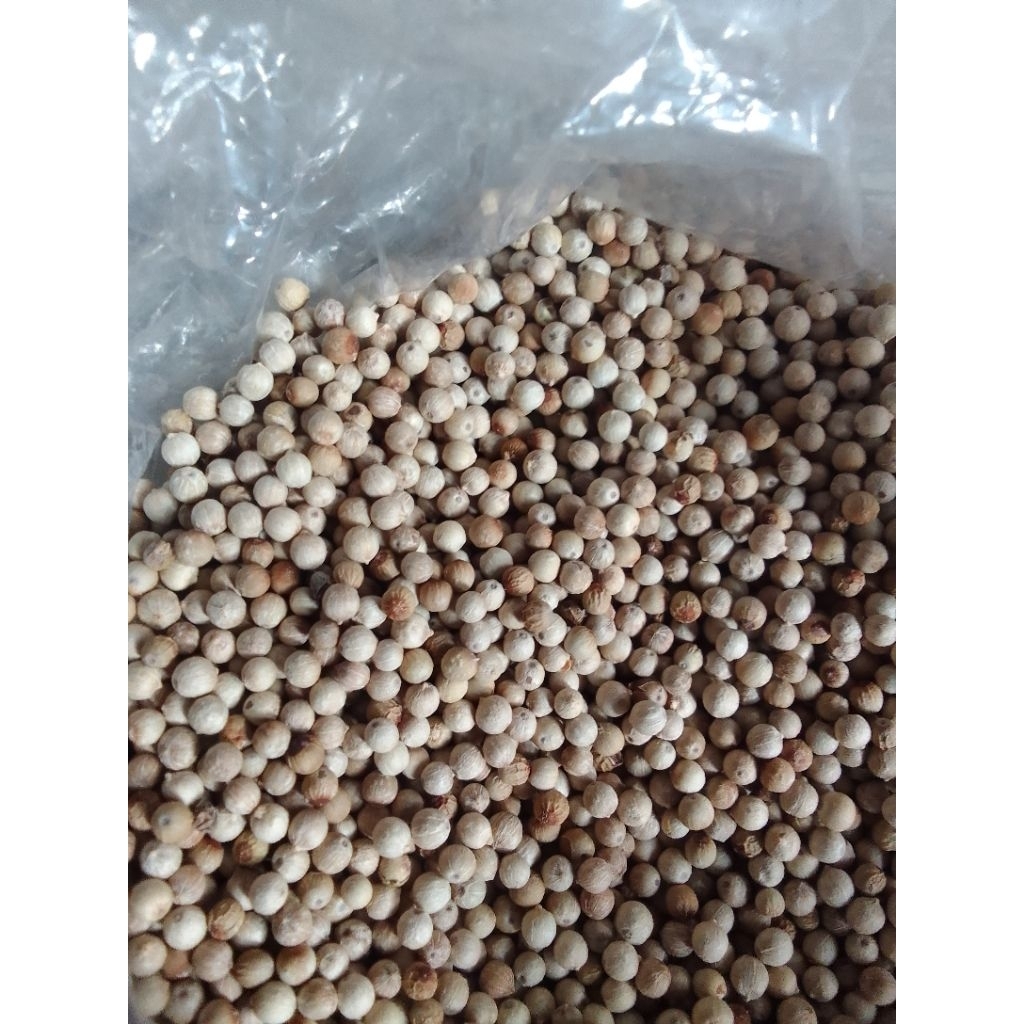 

merica/lada putih/pedes 100g