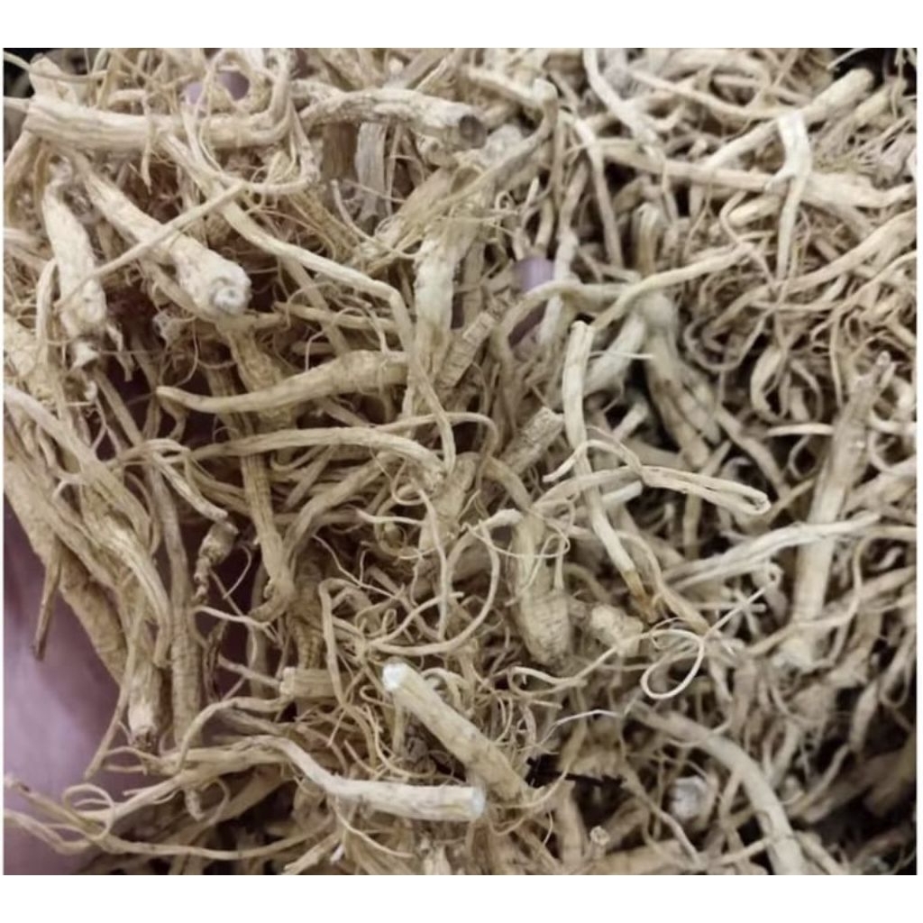 

Jaya Akar Ginseng / Sem Chiu ukuran 10gr, 25gr, 50gr, 100gr