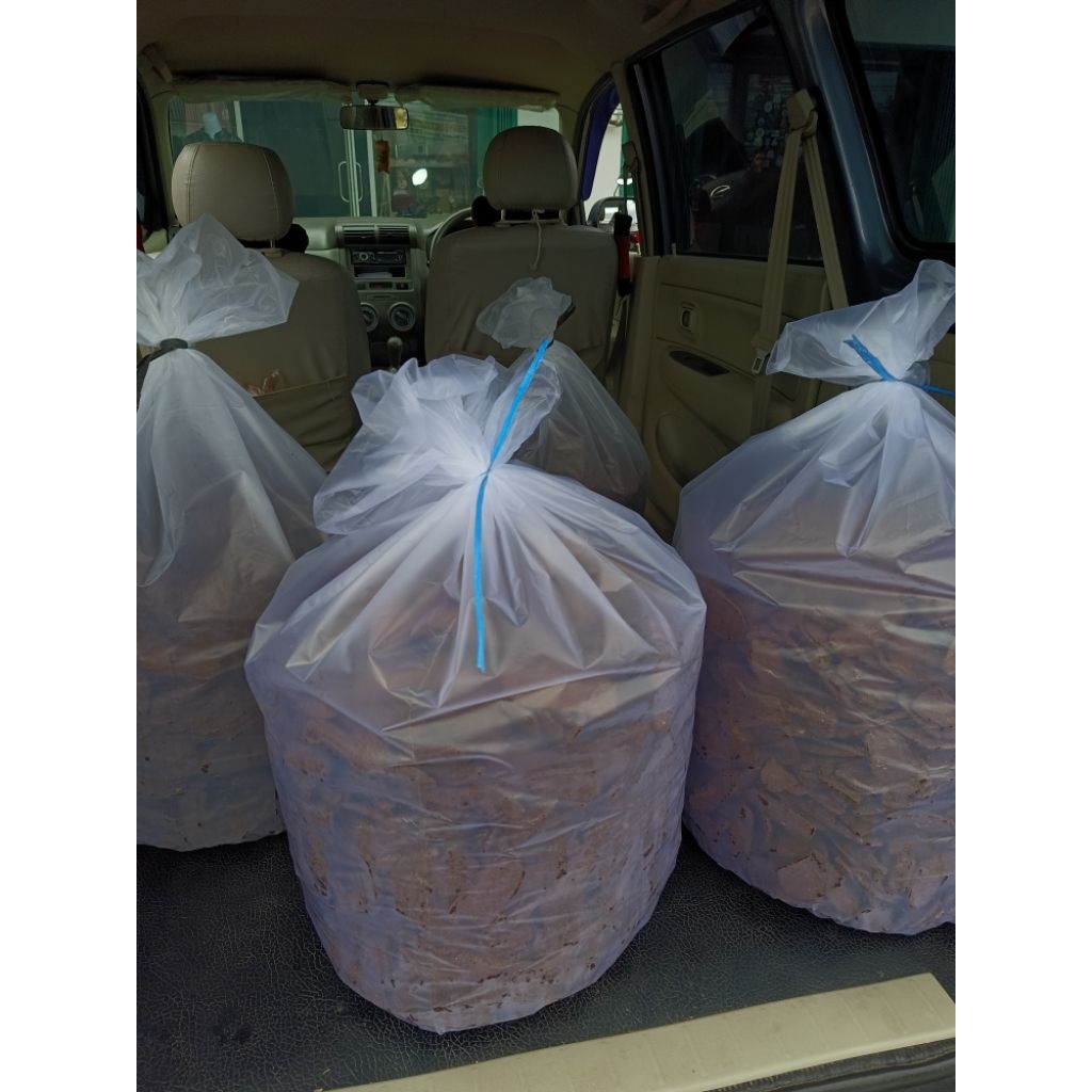 

TERMURAH Paket lesseler (10kg)