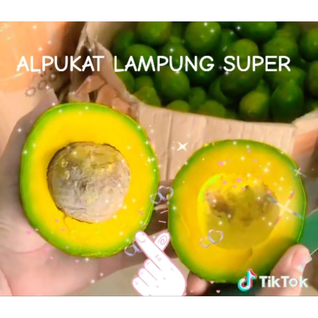 

ALPUKAT LAMPUNG SUPER ZIGER FRESH