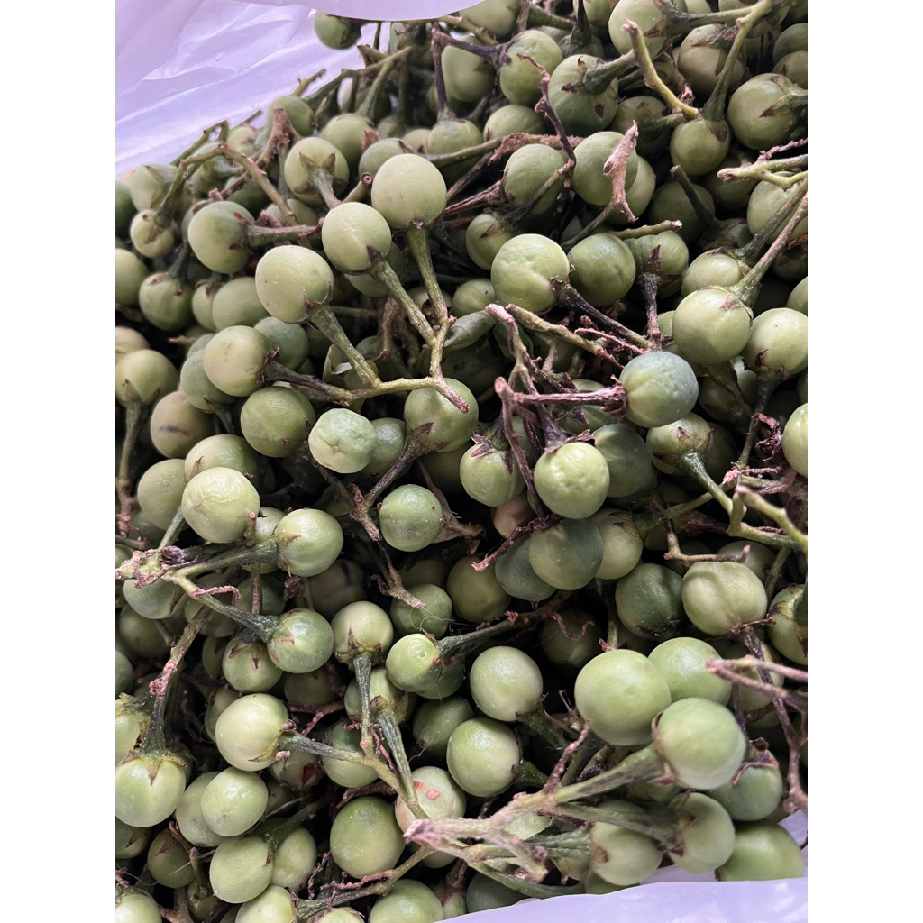 

INSTAN - Terong Pipit Per 1 ons | Terong pipit