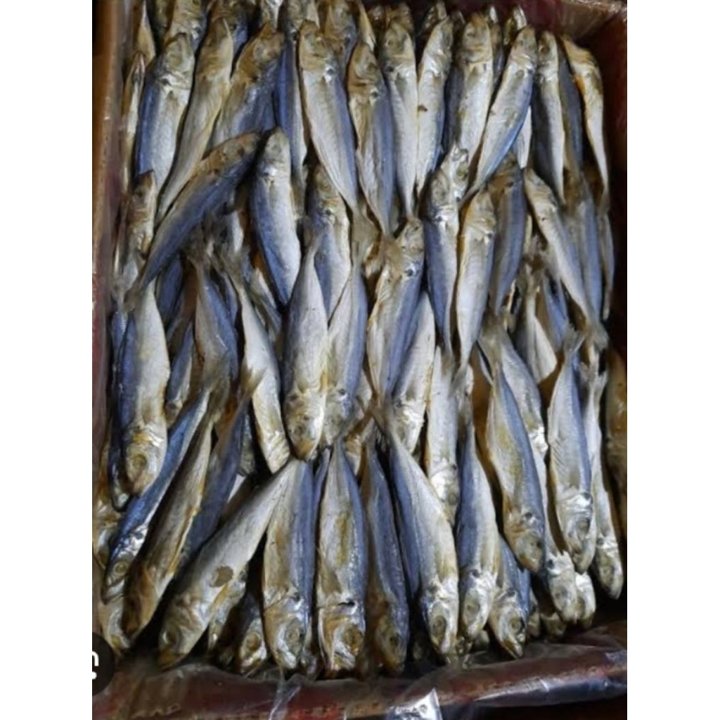 

1 bngks ikan asin peda japuh