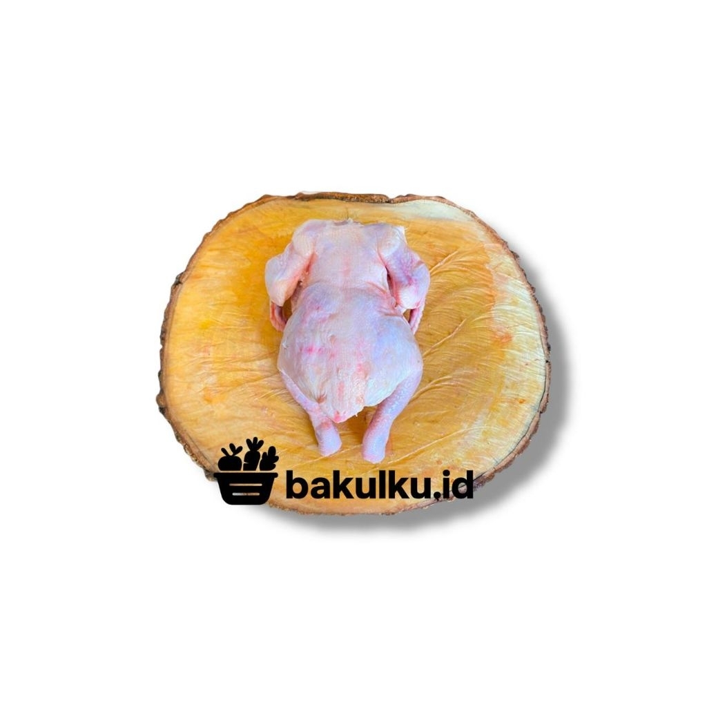 

ayam potong karkas segar ayam potong utuh ayam broiler tanpa kepala ceker