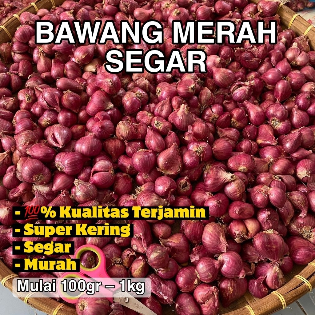 

Brambang Bawang Merah Ukuran Sedang Asli Brebes | 100gr – 1kg Free Jaring Polynet
