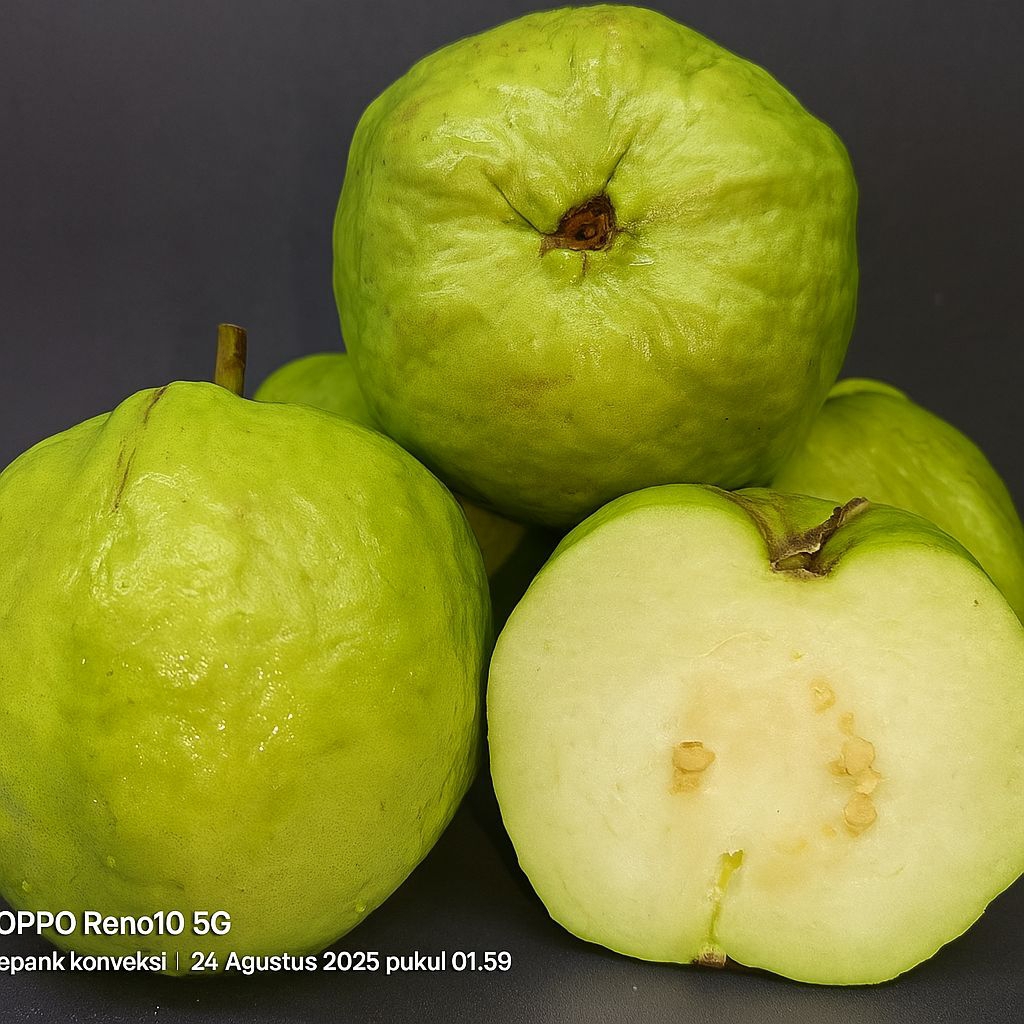 

JAMKRIS 1KG PROMO / JAMBU KRISTAL KEBUMEN / JAMBU KRISTAL NON BIJI/ JAMKRIS KEBUMEN / JAMBU KRISTAL MIRIT