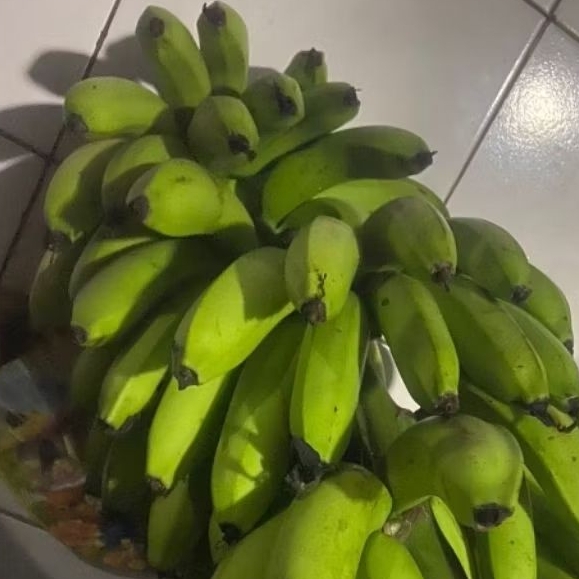 

Buah Pisang Mentah PB Eko 500 Gram Pisang Bangkaulu