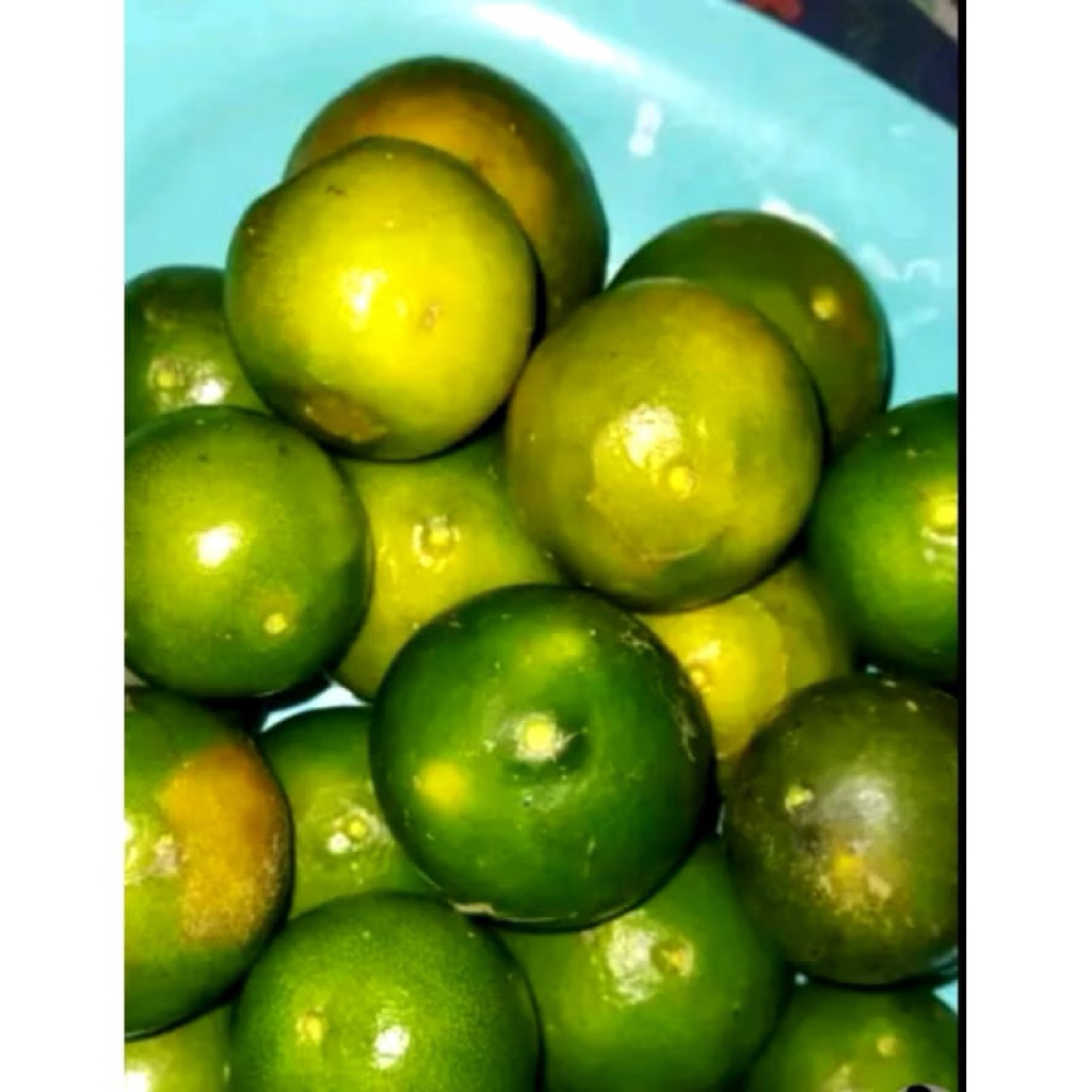 

FRESH JERUK PERAS ASLI MADIUN BERAT 1 KG