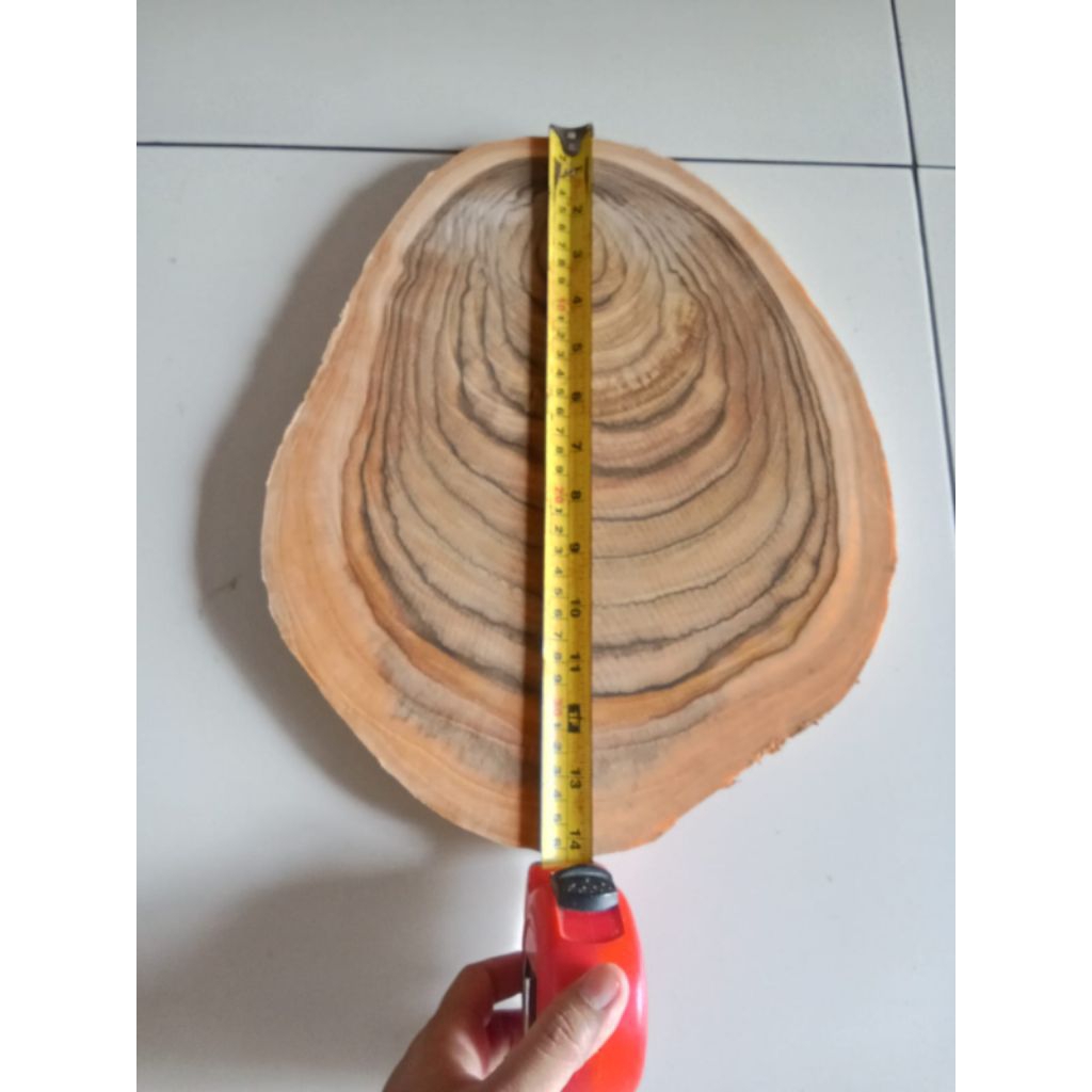 telenan jati asli/wood slice kayu jati asli premium