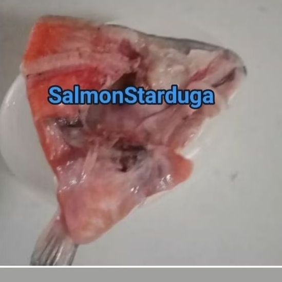 

kepala salmon belah 1kg
