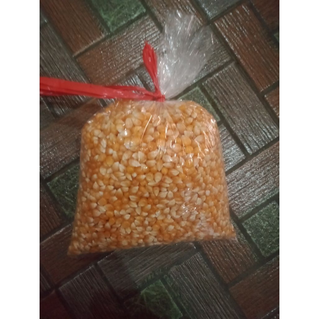 

jagung popcorn kiloan
