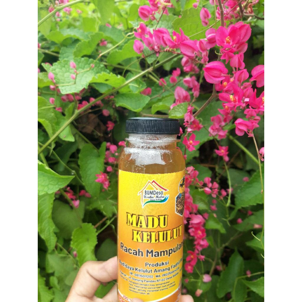 

madu kelulut/klanceng murni 100%500ml