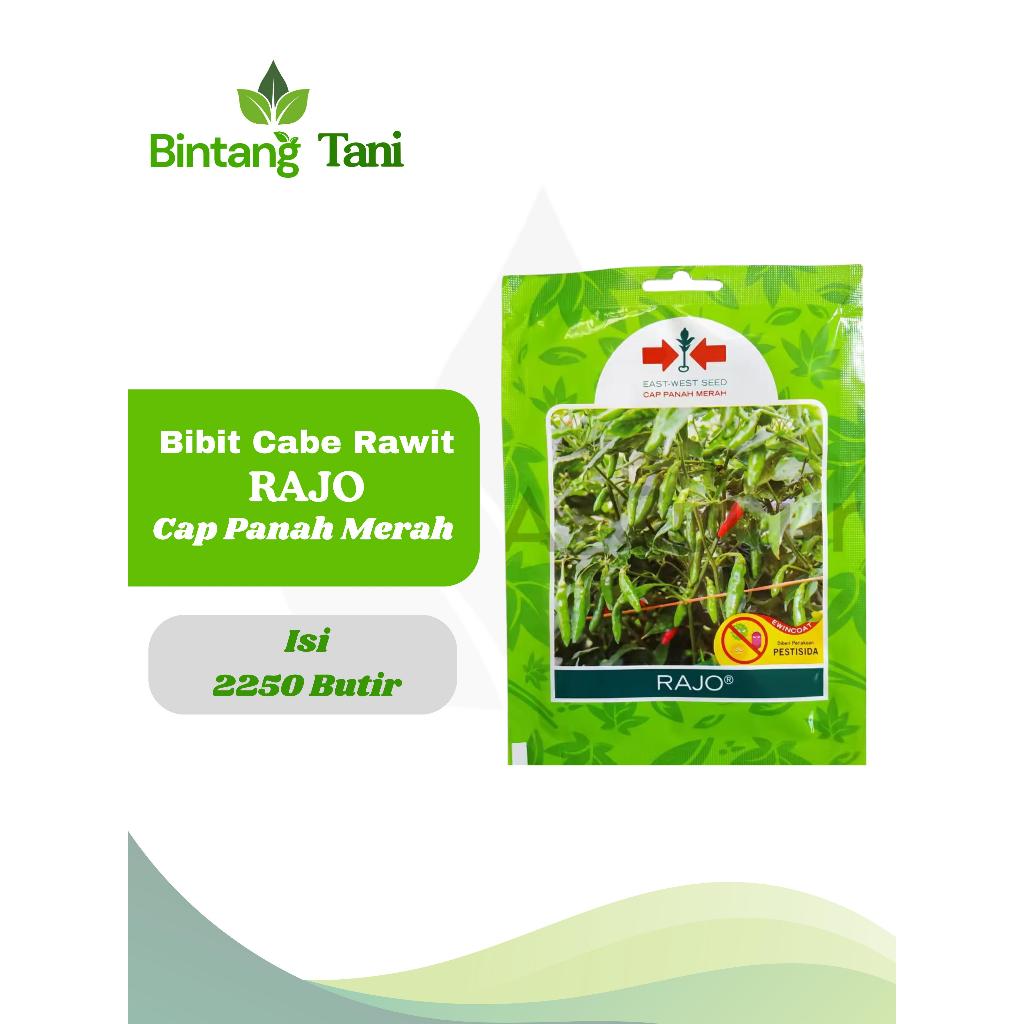 Benih Cabai Rajo Cap Panah Merah Isi 2250 Butir | Benih Cabai Cap Panah Merah | Benih Cabai