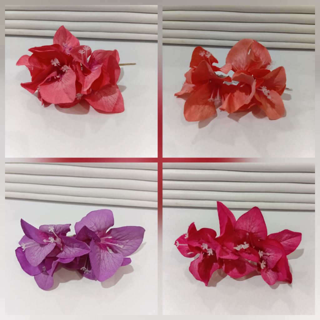 cucuk semanggi bunga kertas