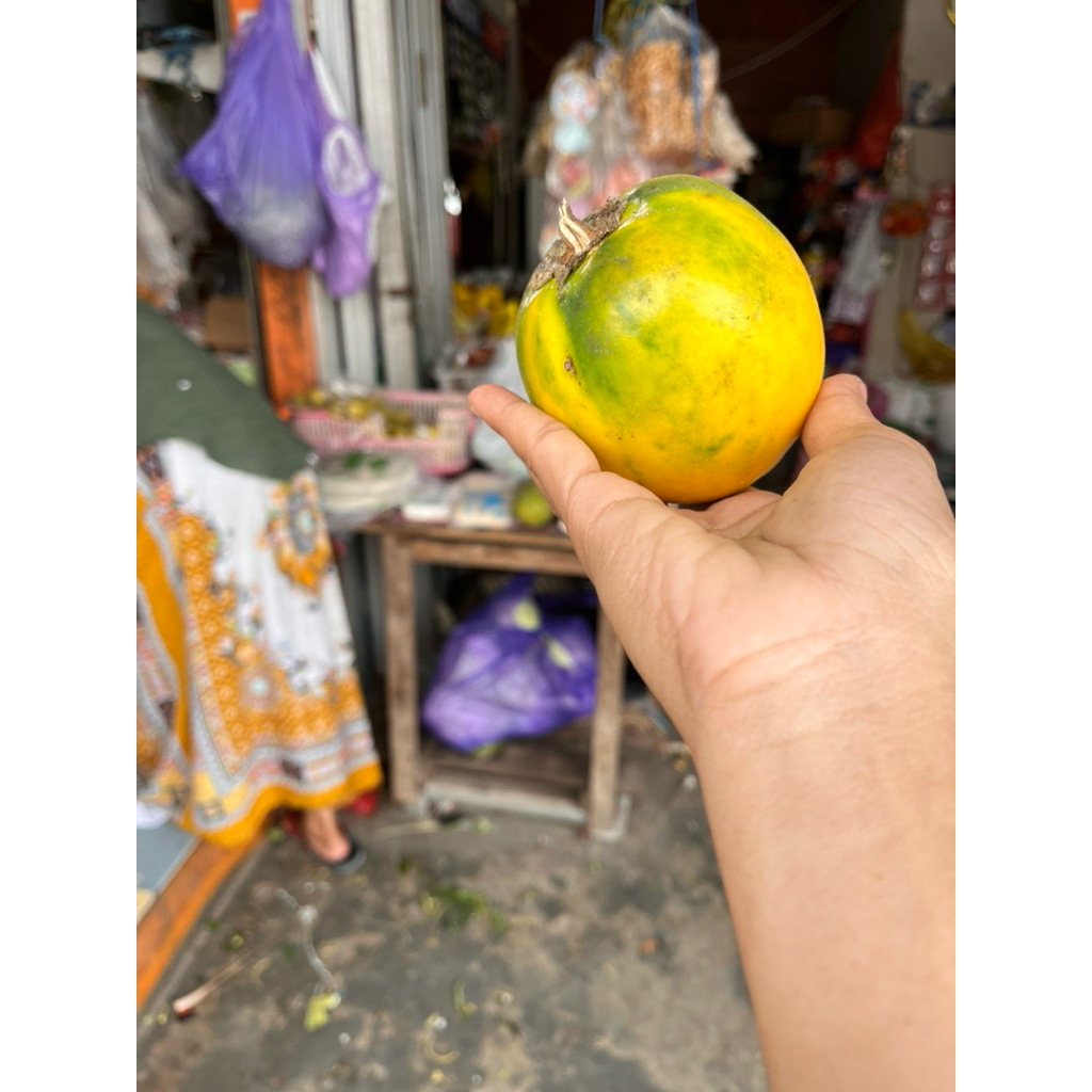 

INSTAN - TERONG ASEM PER SATUAN