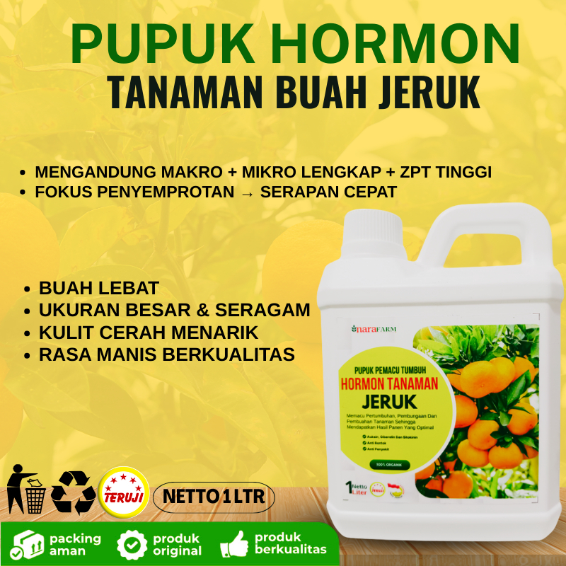 Pupuk organik cair  tanaman buah jeruk/Pupuk jeruk cepat berbuah/Pupuk pelebat buah jeruk manis