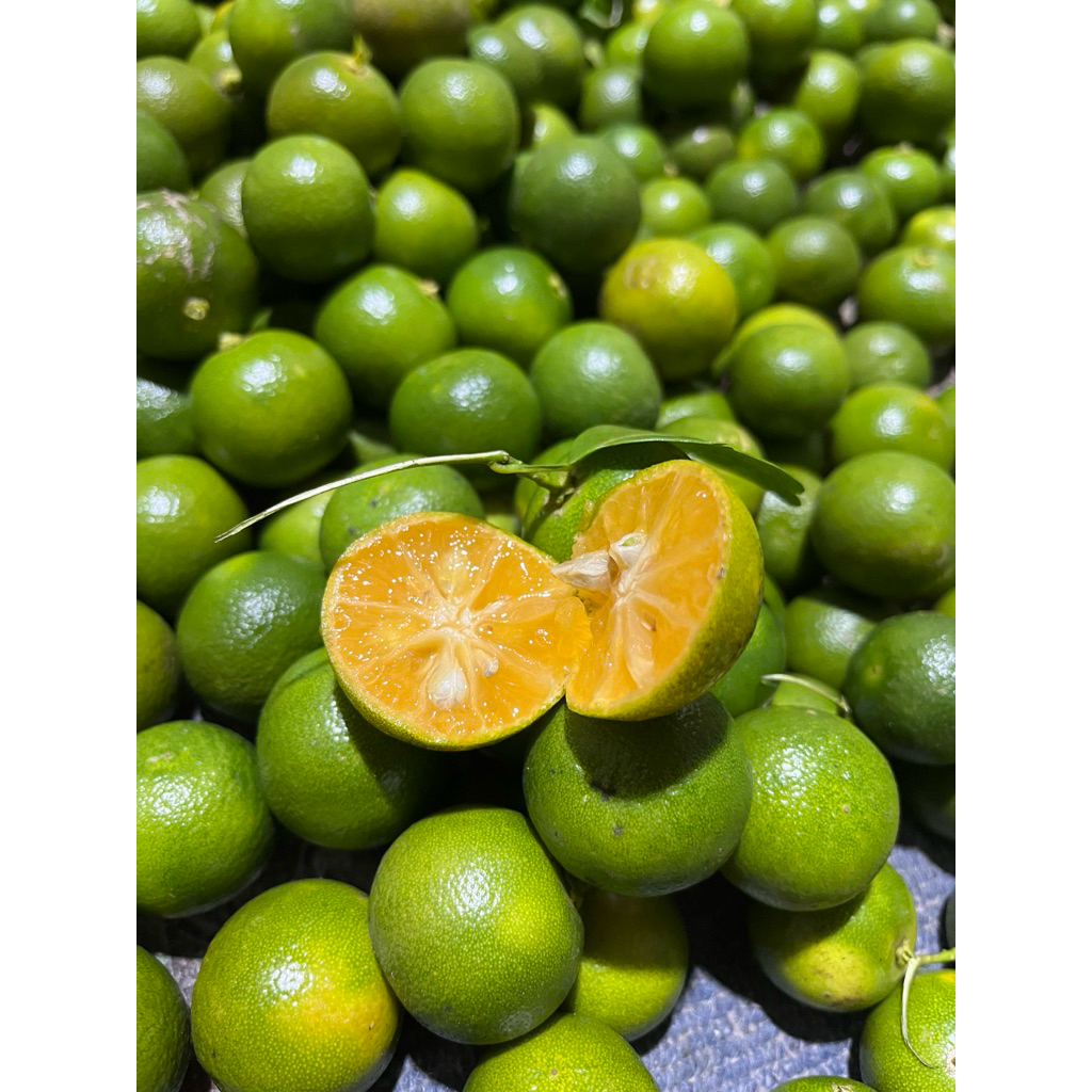 

1kg Jeruk Sonkit Kunci Kasturi Segar