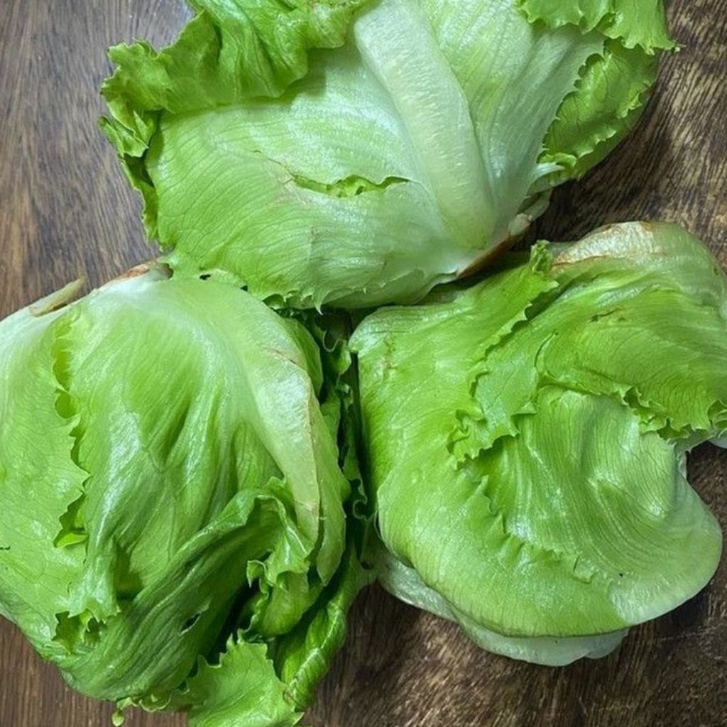 

Selada bulat - Andira Fresh