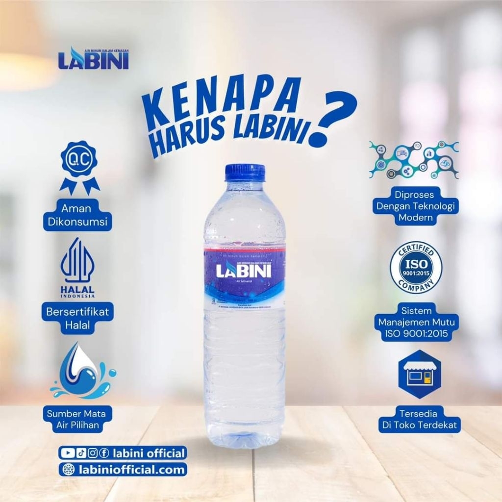 

(INSTANT) Air Mineral Labini 600ML X 24