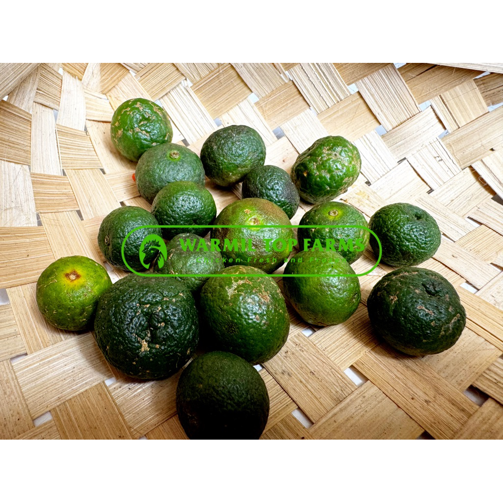 

Jeruk Limau Limo 250gr Sayur Segar