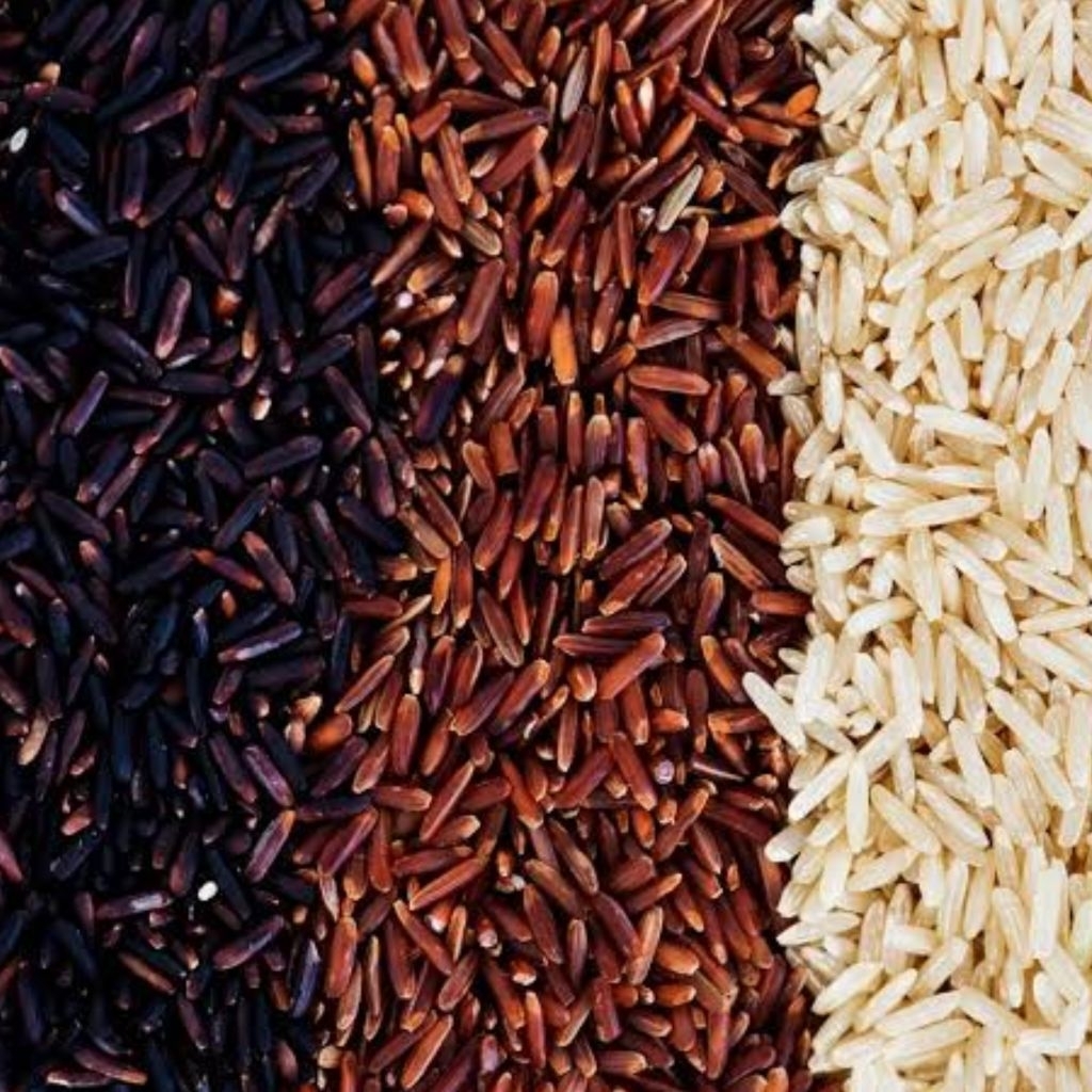 

Beras Organik Mix MPASI 50gr/100gr Putih & Hitam & Merah & Coklat