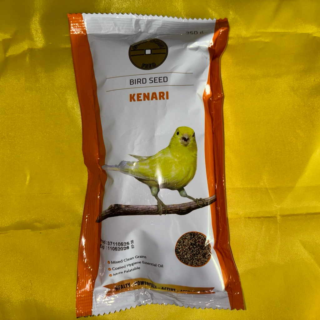 Gold Coin Kenari