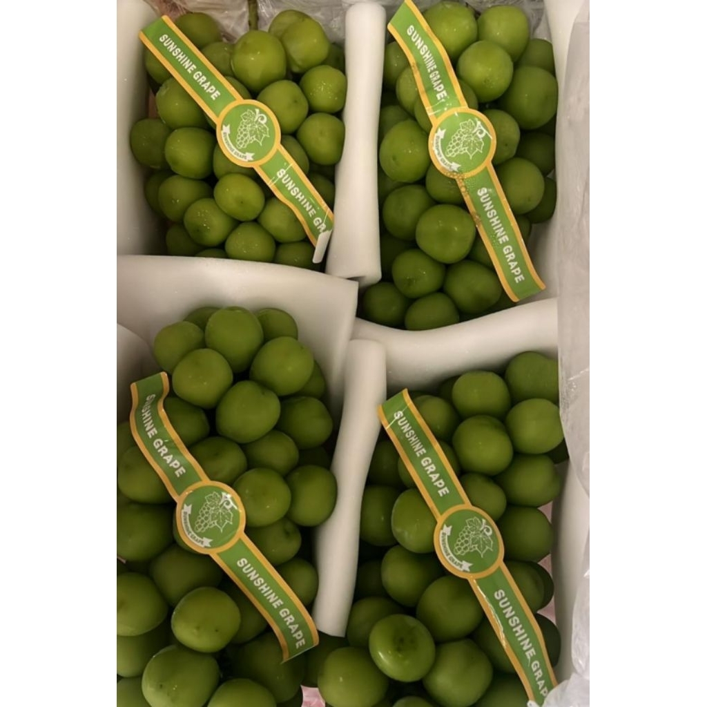 

ANGGUR SHINE MUSCAT HIJAU