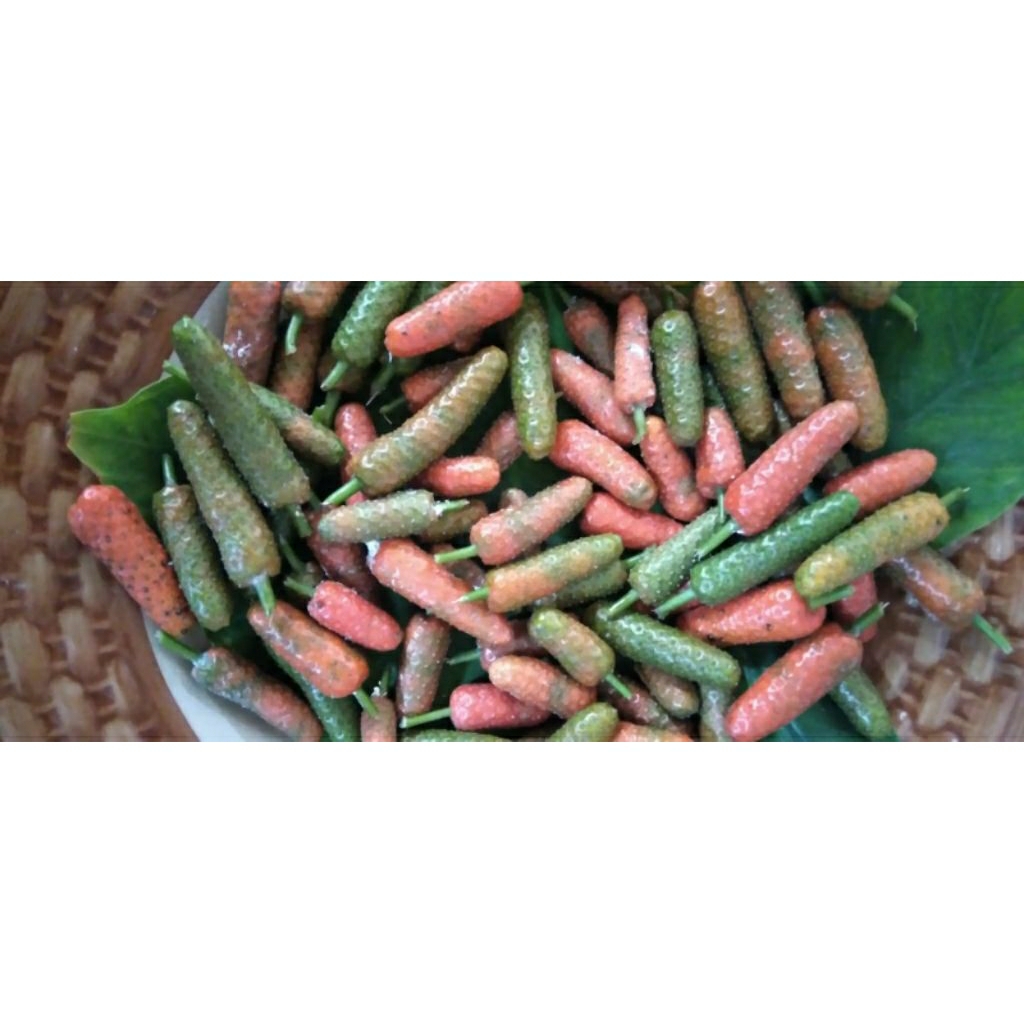 

Bahan Cabe Jamu / Jawa / Madura petik segar