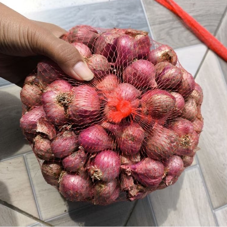 

BAWANG MERAH NGANJUK BESAR TANGGUNG 1KG