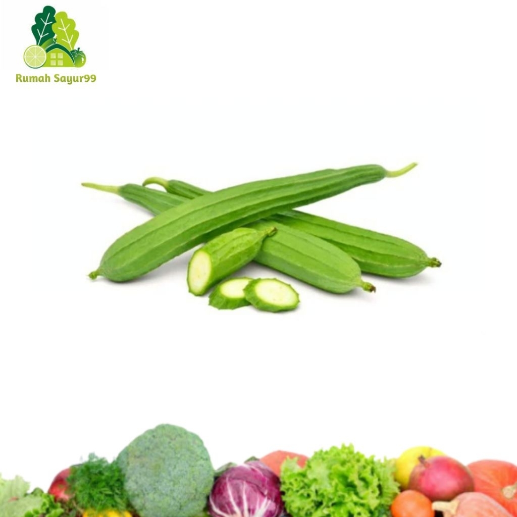 

Oyong segar berkualitas per buah