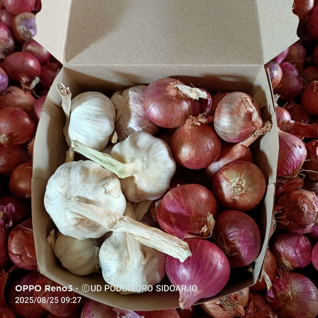 

paket bawang merah India dan bawang putih sico kotor 1 kg bawg merah India 500 gr dan bawang putih sico kotor 500 gr berkualitas