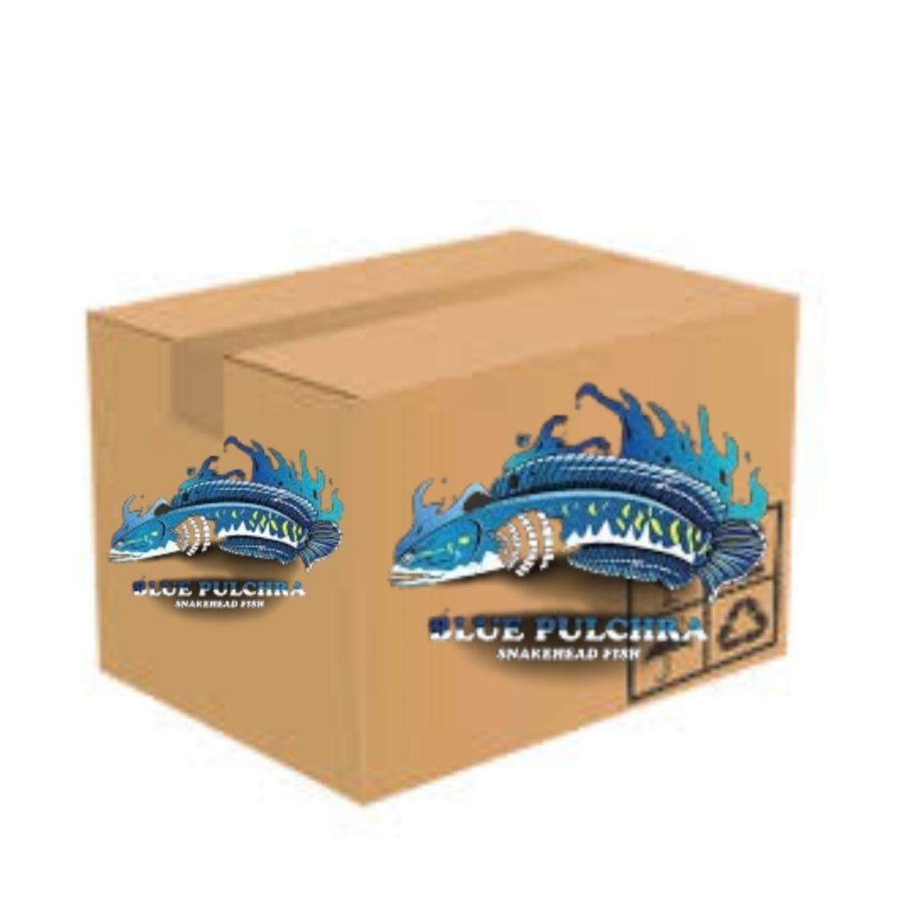 

kardus bos auranti wc