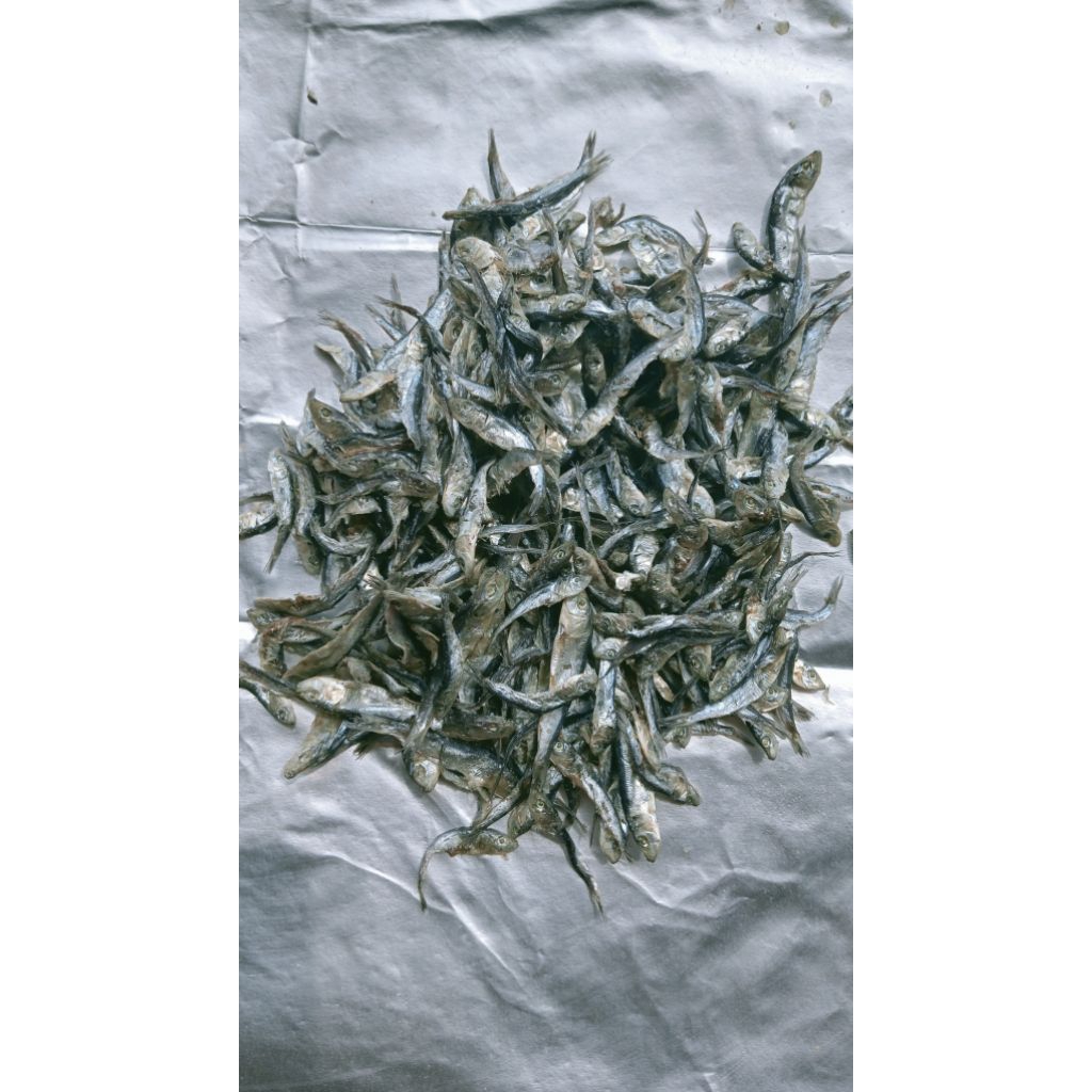 

Ikan Asin peda Lemet Menit