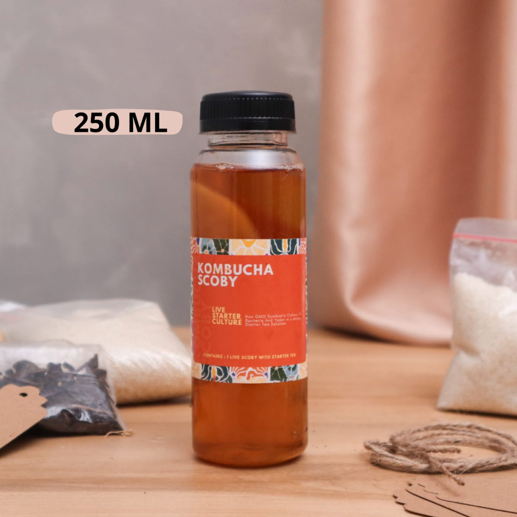 

250ml air starter combucha tea minuman fermentasi menyehatkan