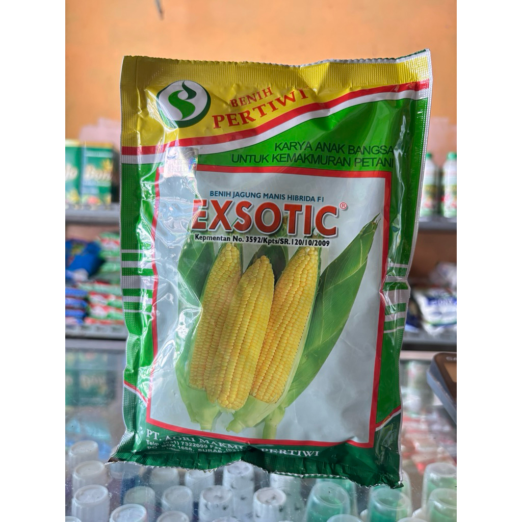 

bibit jagung EXSOTIC Pertiwi