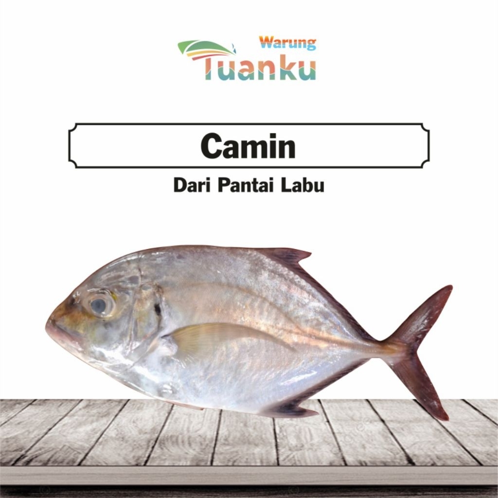 

Ikan Camin Segar - warung tuanku