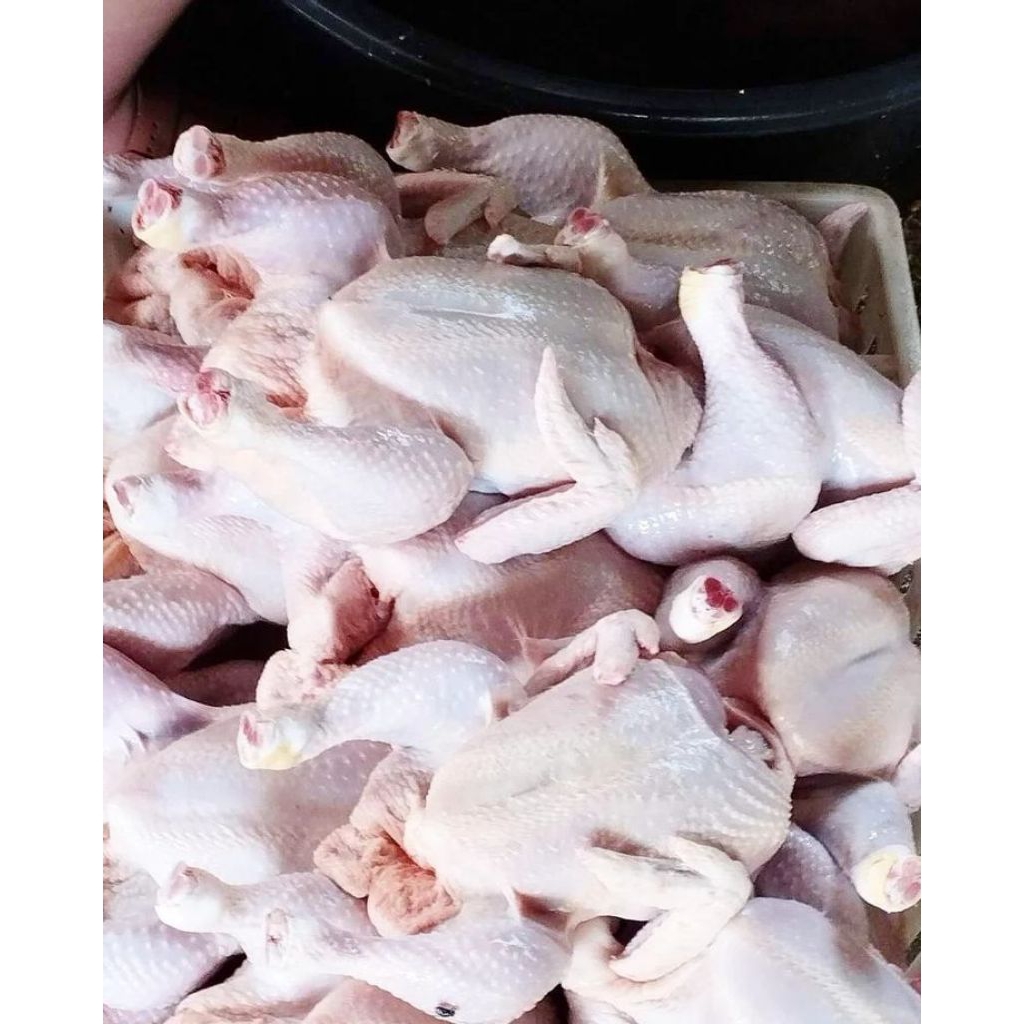 

Ayam Negeri Kecil - 700 gram