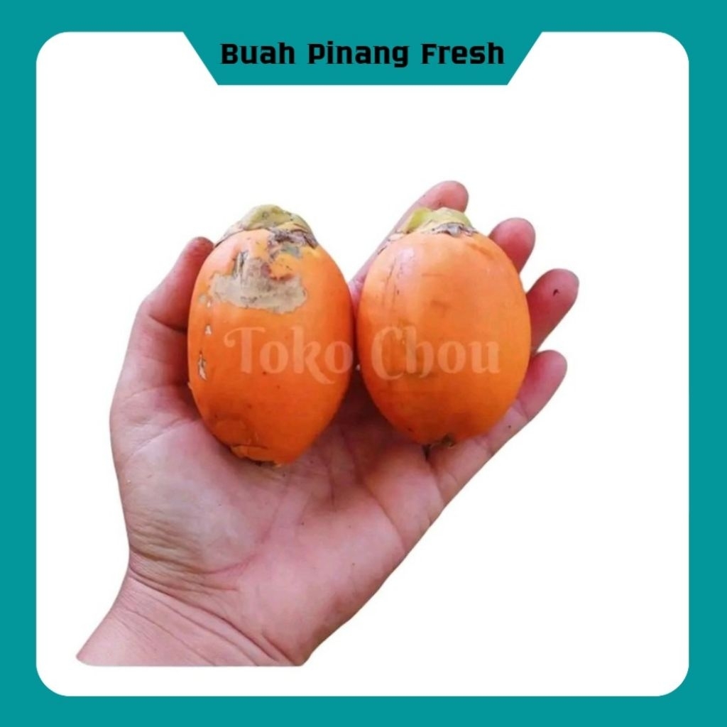 

Buah Pinang Fresh 500gr