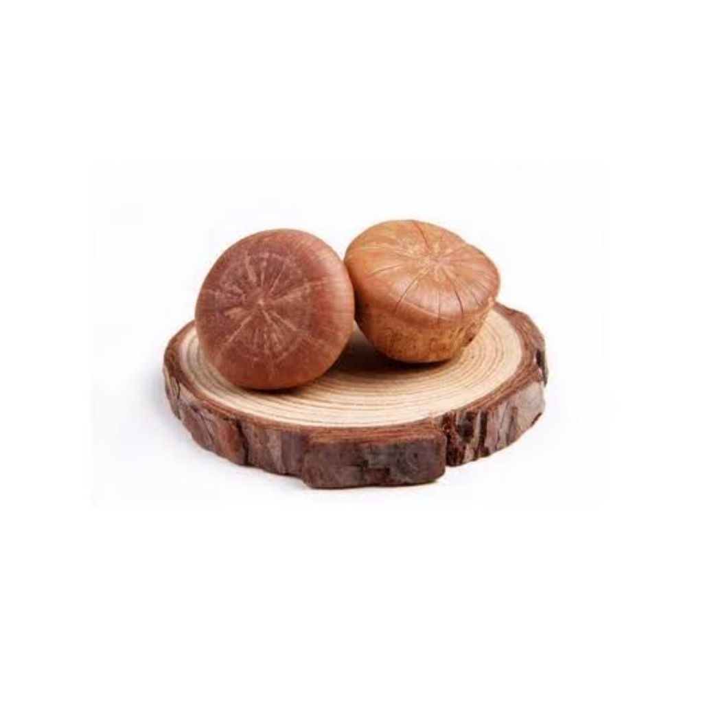 

100gr Shi Tou Guo / Feng Liu Guo / Lithocarpus Pachylepis / Aphrodisiac Fruit Premium Grade