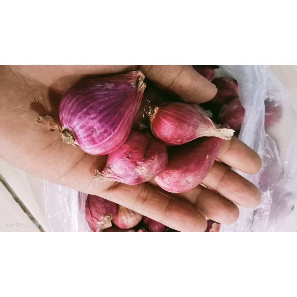 

bawang merah brebes 1kg