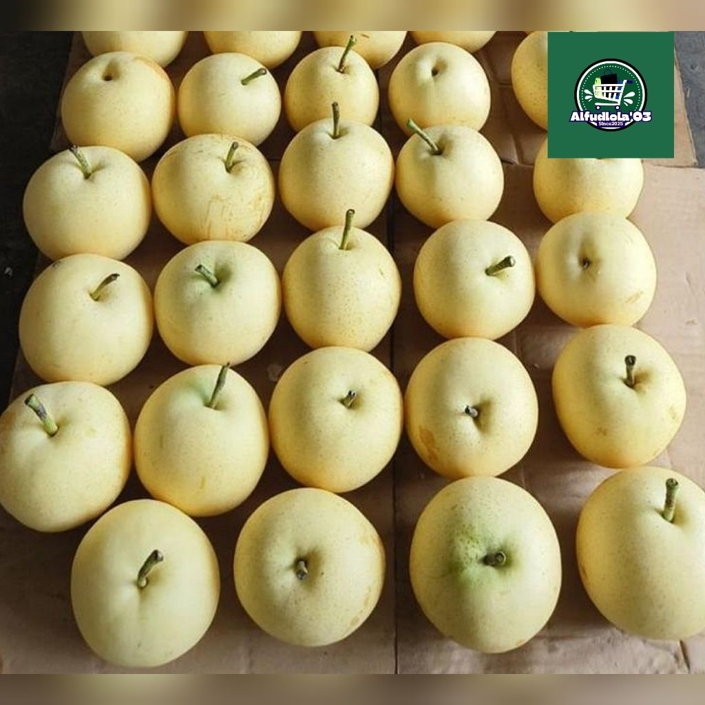 

Pear Century Buah pir 1kg